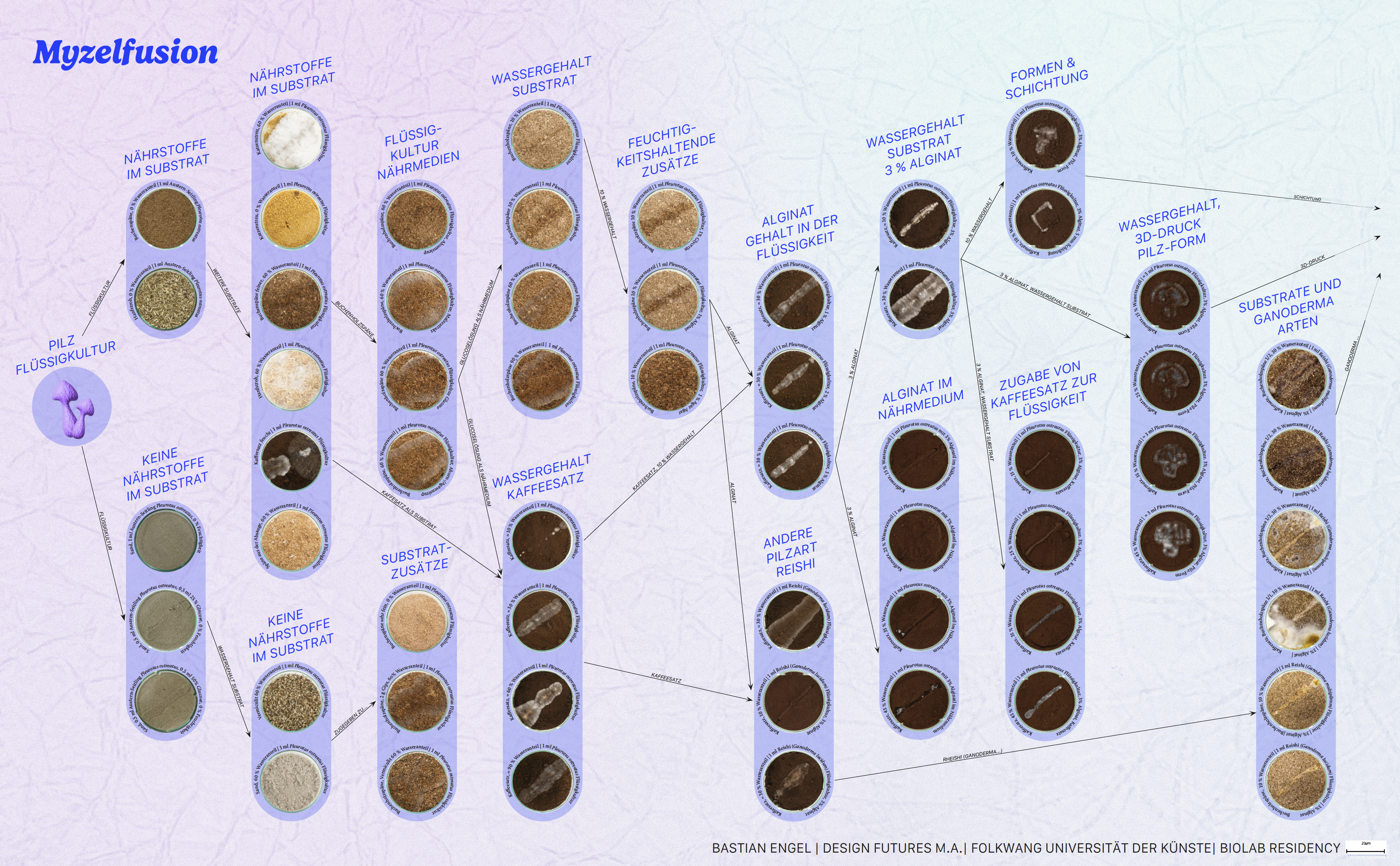 MyzelFusion detail 8